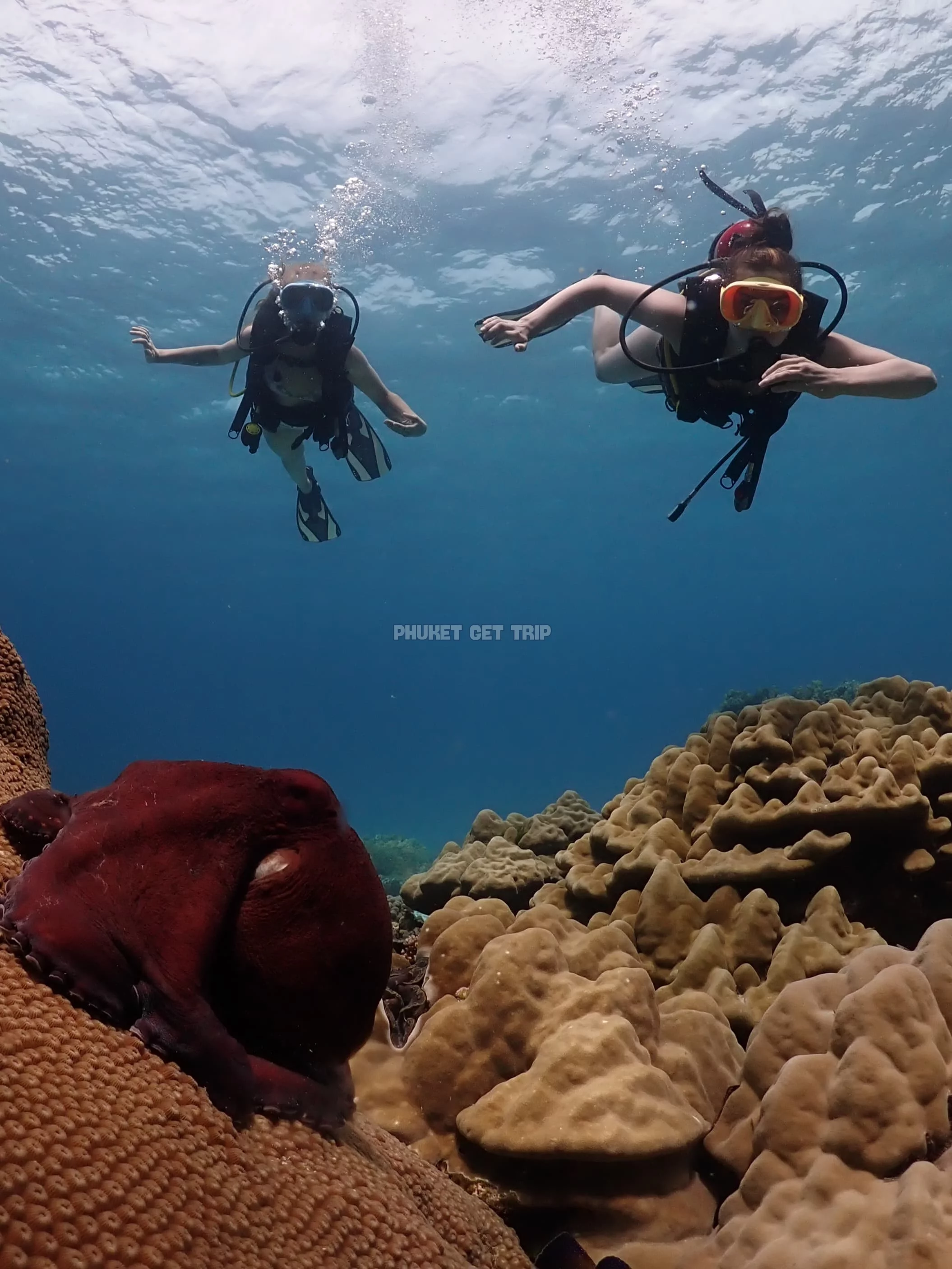 Дайвинг на Пхукете